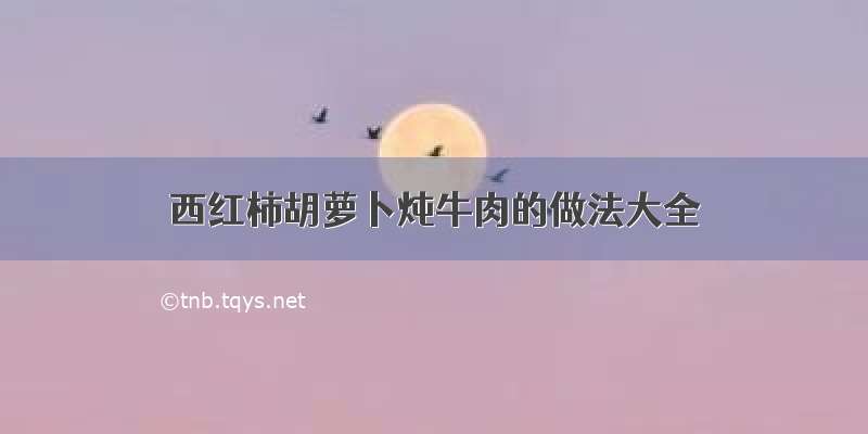 西红柿胡萝卜炖牛肉的做法大全