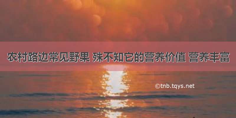 农村路边常见野果 殊不知它的营养价值 营养丰富