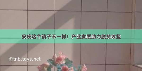 安庆这个镇子不一样！产业发展助力脱贫攻坚