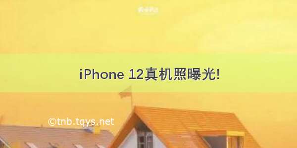 iPhone 12真机照曝光!