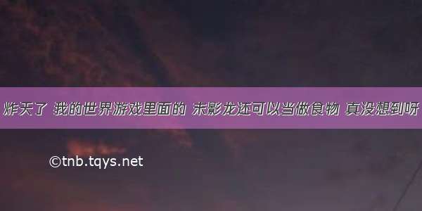 炸天了 我的世界游戏里面的 末影龙还可以当做食物 真没想到呀