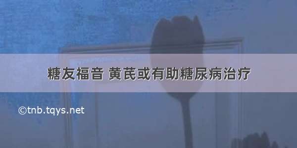 糖友福音 黄芪或有助糖尿病治疗