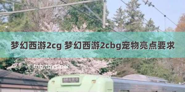 梦幻西游2cg 梦幻西游2cbg宠物亮点要求