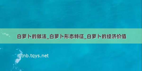 白萝卜的做法_白萝卜形态特征_白萝卜的经济价值