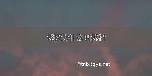 桦树为什么叫桦树