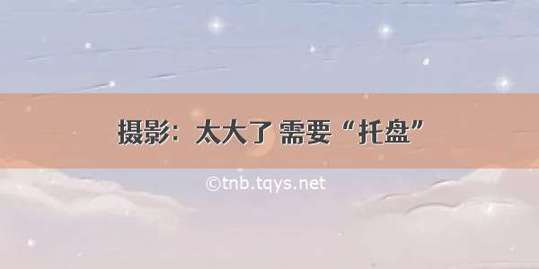 摄影：太大了 需要“托盘”