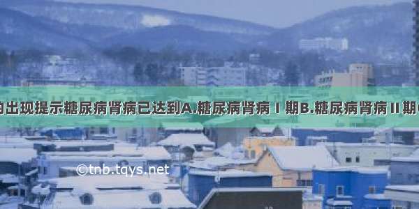 大量蛋白尿的出现提示糖尿病肾病已达到A.糖尿病肾病Ⅰ期B.糖尿病肾病Ⅱ期C.糖尿病肾病