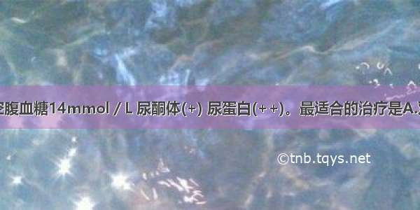 糖尿病患者空腹血糖14mmol／L 尿酮体(+) 尿蛋白(++)。最适合的治疗是A.双胍类降糖药