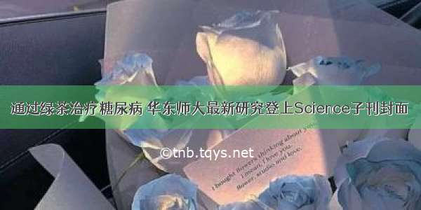 通过绿茶治疗糖尿病 华东师大最新研究登上Science子刊封面