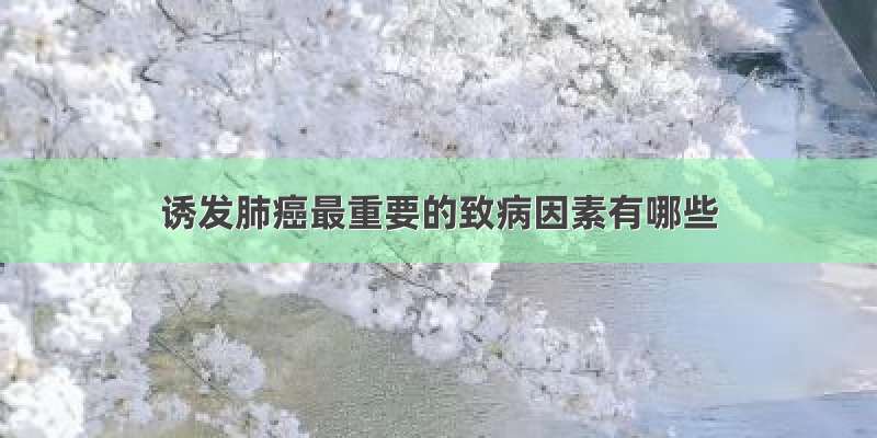 诱发肺癌最重要的致病因素有哪些