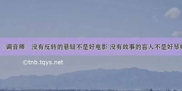 《调音师》没有反转的悬疑不是好电影 没有故事的盲人不是好琴师