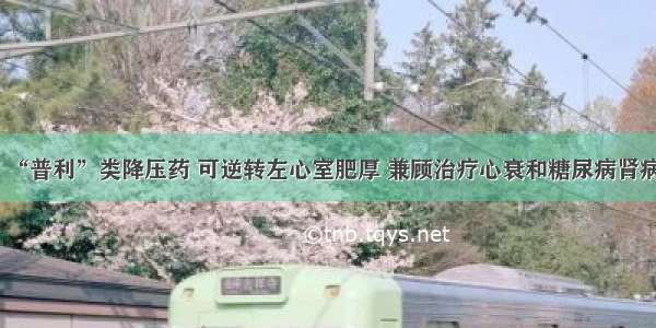 “普利”类降压药 可逆转左心室肥厚 兼顾治疗心衰和糖尿病肾病