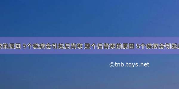 后背疼的原因 5个疾病会引起后背疼 整个后背疼的原因 5个疾病会引起后背疼