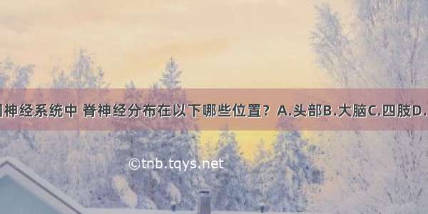 周围神经系统中 脊神经分布在以下哪些位置？A.头部B.大脑C.四肢D.内脏