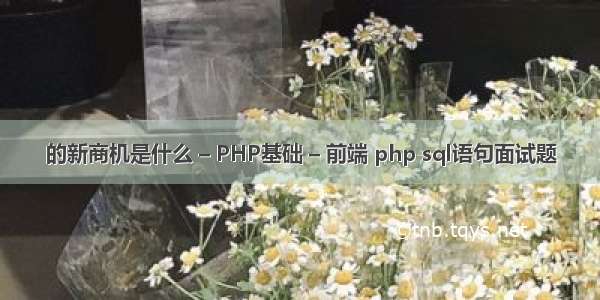 的新商机是什么 – PHP基础 – 前端 php sql语句面试题