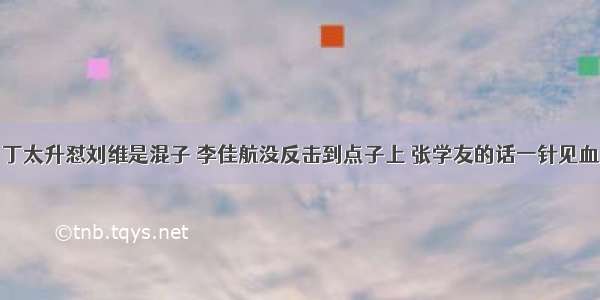 丁太升怼刘维是混子 李佳航没反击到点子上 张学友的话一针见血