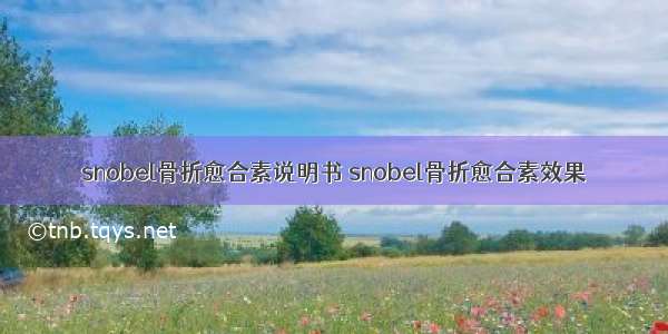 snobel骨折愈合素说明书 snobel骨折愈合素效果