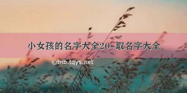 小女孩的名字大全20-取名字大全