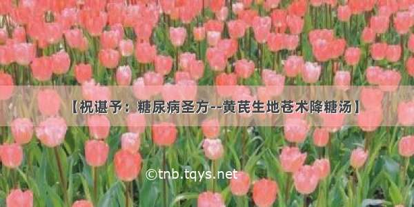 【祝谌予：糖尿病圣方--黄芪生地苍术降糖汤】