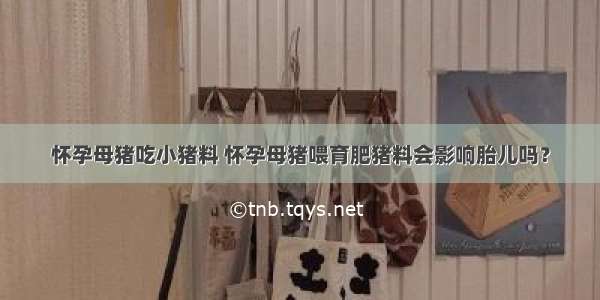 怀孕母猪吃小猪料 怀孕母猪喂育肥猪料会影响胎儿吗？