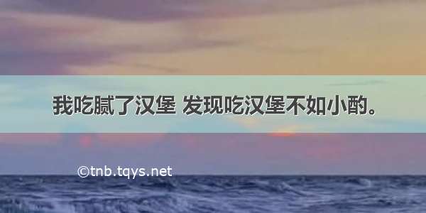 我吃腻了汉堡 发现吃汉堡不如小酌。