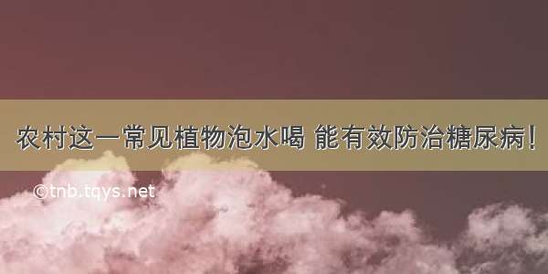 农村这一常见植物泡水喝 能有效防治糖尿病！