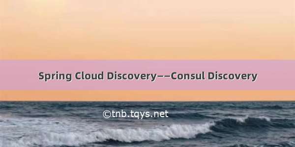 Spring Cloud Discovery——Consul Discovery