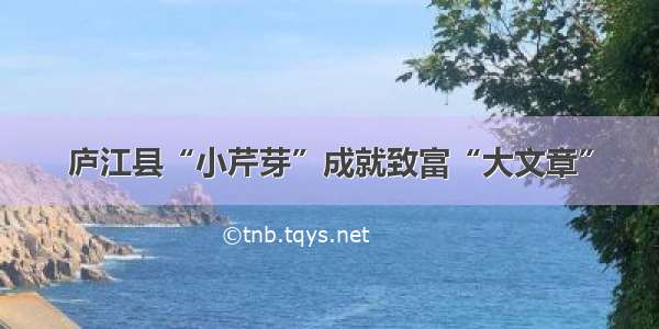 庐江县“小芹芽”成就致富“大文章”