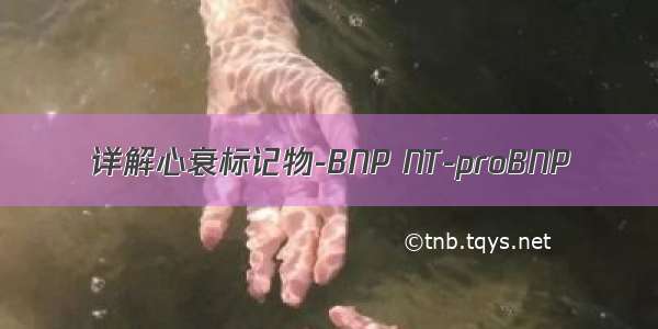 详解心衰标记物-BNP NT-proBNP