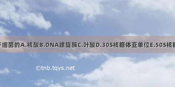 红霉素主要作用于细菌的A.核酸B.DNA螺旋酶C.叶酸D.30S核糖体亚单位E.50S核糖体亚单位ABCDE