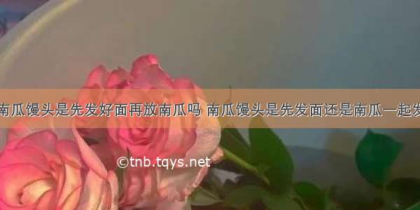 南瓜馒头是先发好面再放南瓜吗 南瓜馒头是先发面还是南瓜一起发