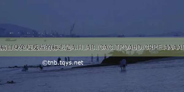 1型糖尿病自身免疫反应的标志是A.HLAB.ICAC.TPOAbD.CRPE.ANAABCDE