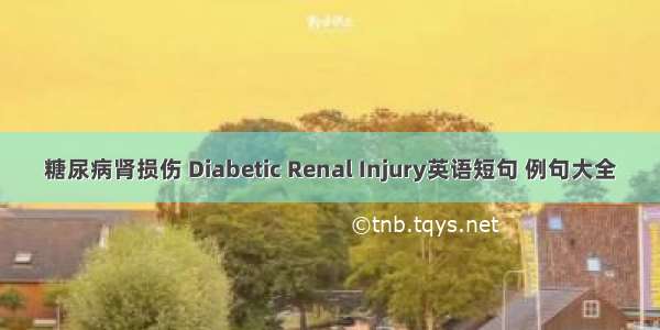 糖尿病肾损伤 Diabetic Renal Injury英语短句 例句大全