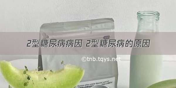 2型糖尿病病因 2型糖尿病的原因