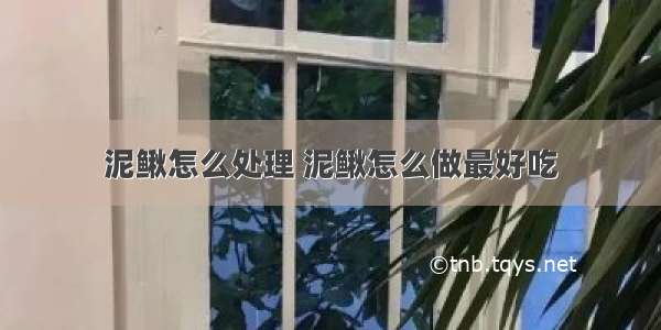 泥鳅怎么处理 泥鳅怎么做最好吃