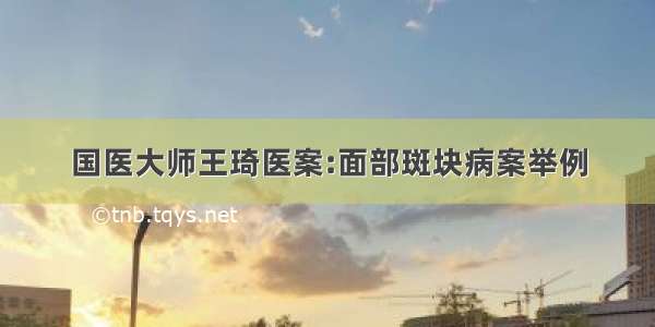 国医大师王琦医案:面部斑块病案举例