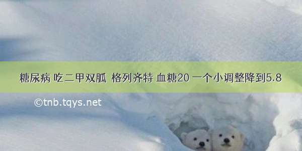 糖尿病 吃二甲双胍＋格列齐特 血糖20 一个小调整降到5.8