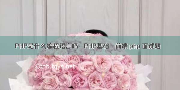 PHP是什么编程语言吗 – PHP基础 – 前端 php 面试题