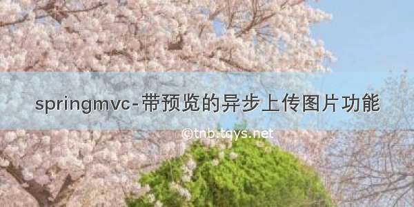 springmvc-带预览的异步上传图片功能