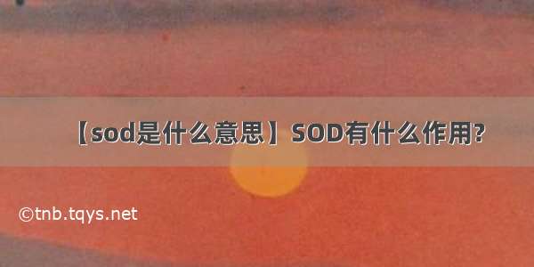 【sod是什么意思】SOD有什么作用?