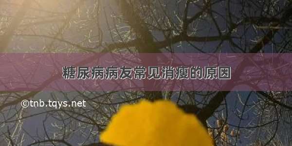 糖尿病病友常见消瘦的原因