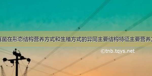 比较细菌和真菌在形态结构营养方式和生殖方式的异同主要结构特征主要营养方式生殖方式