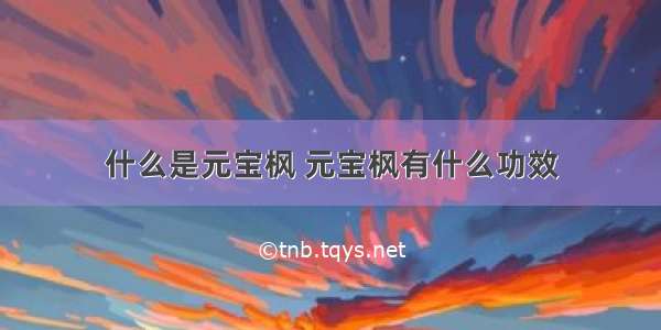 什么是元宝枫 元宝枫有什么功效