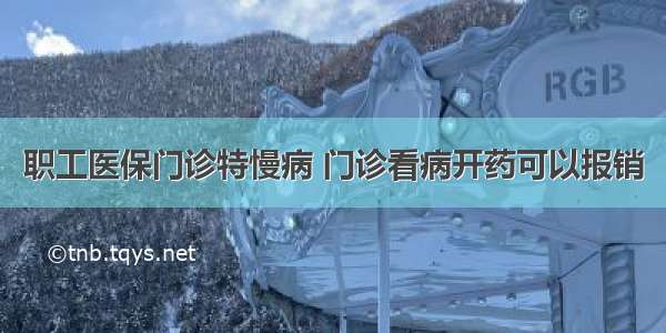 职工医保门诊特慢病 门诊看病开药可以报销