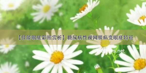 【佳能眼底彩照赏析】糖尿病性视网膜病变眼底特征