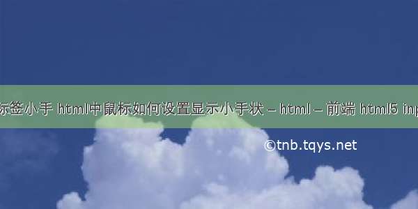 html a标签小手 html中鼠标如何设置显示小手状 – html – 前端 html5 input 圆角