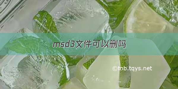 msd3文件可以删吗