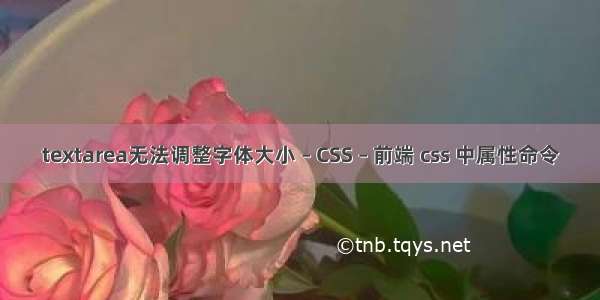 textarea无法调整字体大小 – CSS – 前端 css 中属性命令