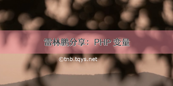 雷林鹏分享：PHP 变量