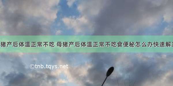 母猪产后体温正常不吃 母猪产后体温正常不吃食便秘怎么办快速解决l